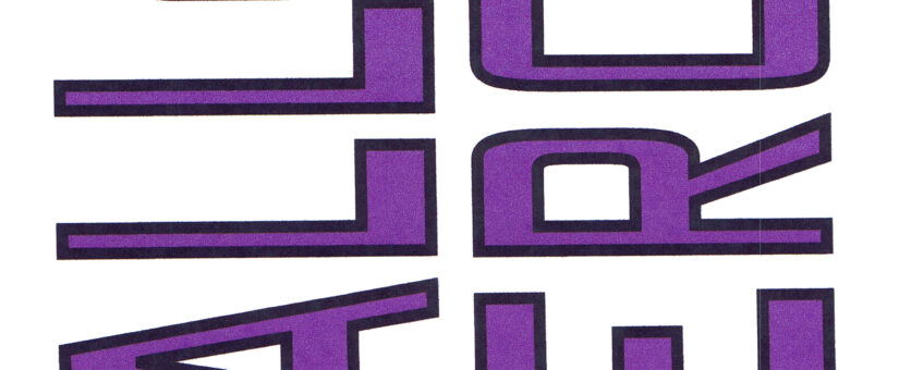 Hall of Heores T-Shirt Logo Type